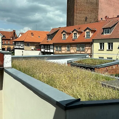 Elbblick Ferienhaus
